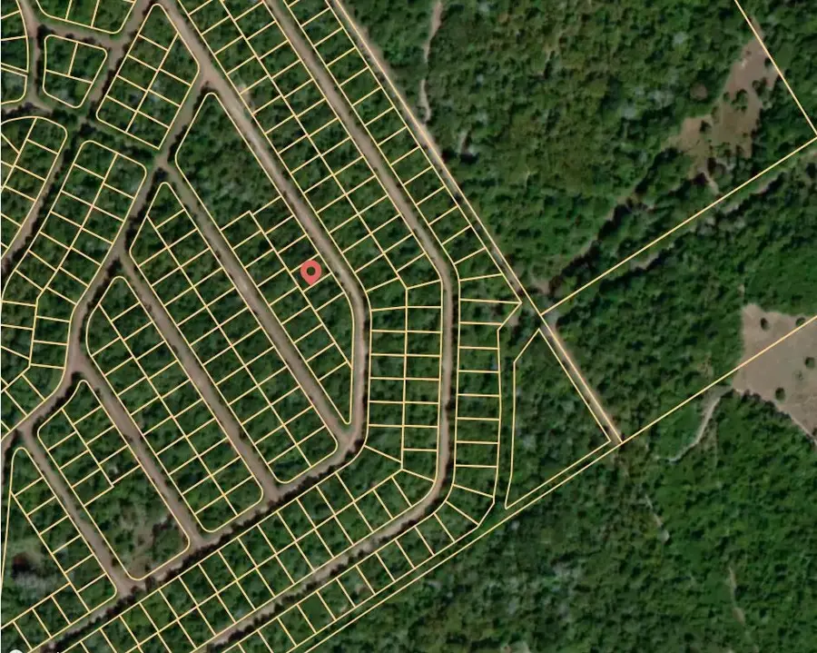 Lot 4 E Austin Colony, Normangee, TX 77871 - Image #2