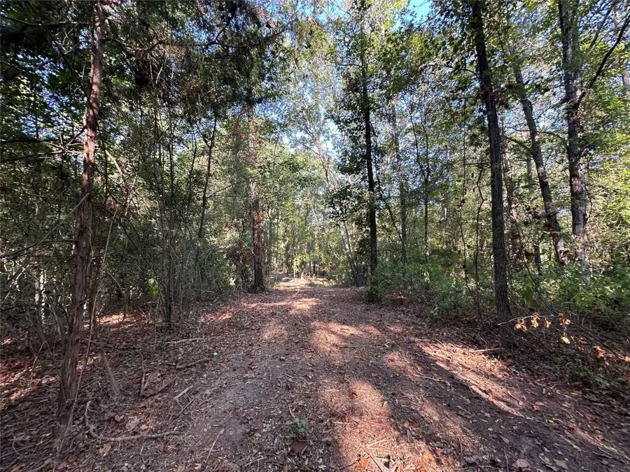 10.13 Acres Fm 852, Gilmer, TX 75644 - Image #3