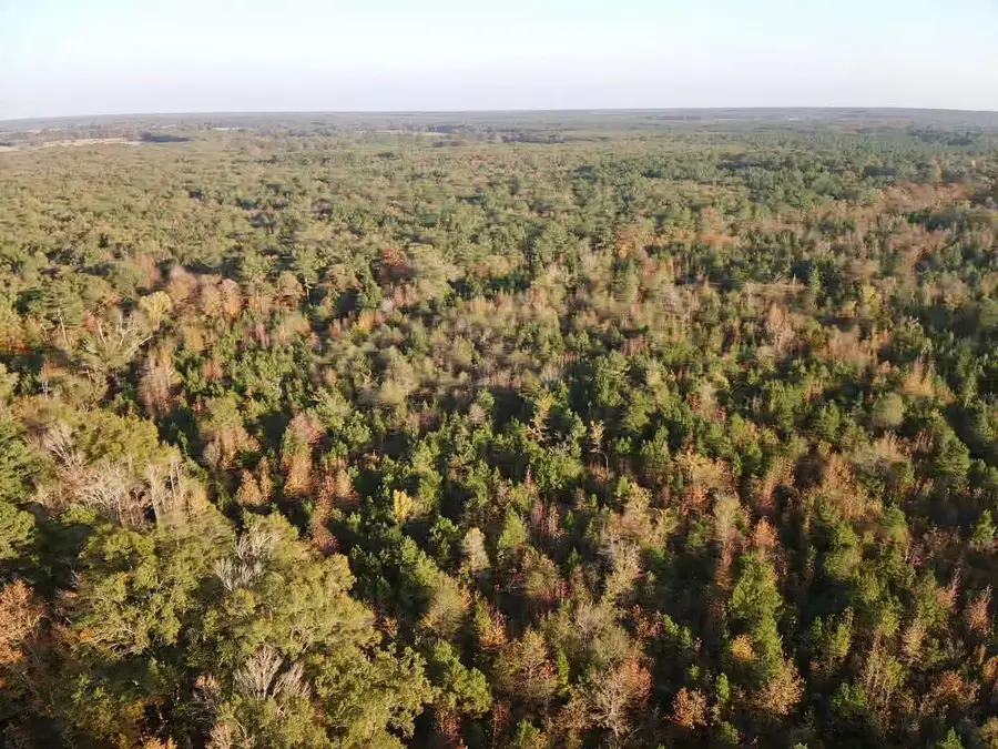 000 Farm To Market 114, Avery, TX 75554 - Image #2