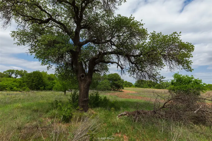 2104 County Road 354, Anson, TX 79501 - Image #3