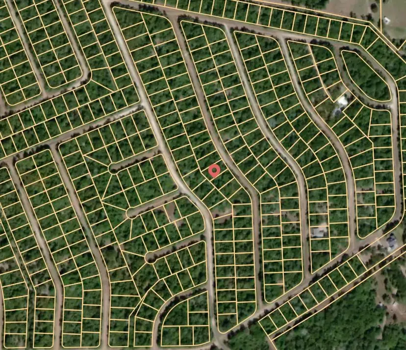 Lot 14 Uncle Remus Road, Normangee, TX 77871 - Image #2