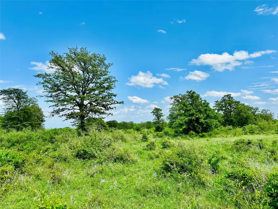 TBD Cr 429, Cross Plains, TX 76443 - Image #3