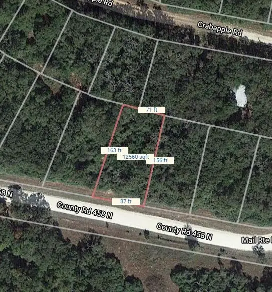 Lot 53 Mail Route Road, Normangee, TX 77871
