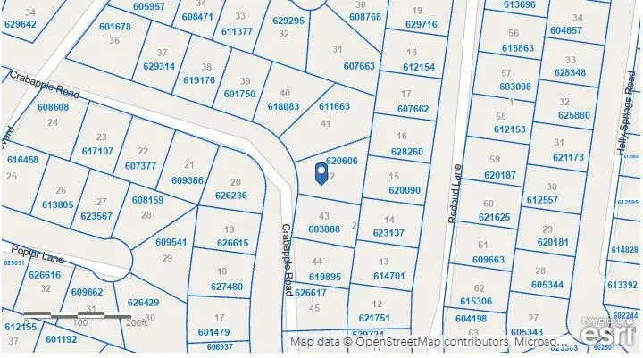 Lot 42 Crabapple Road, Normangee, TX 77871 - Image #3