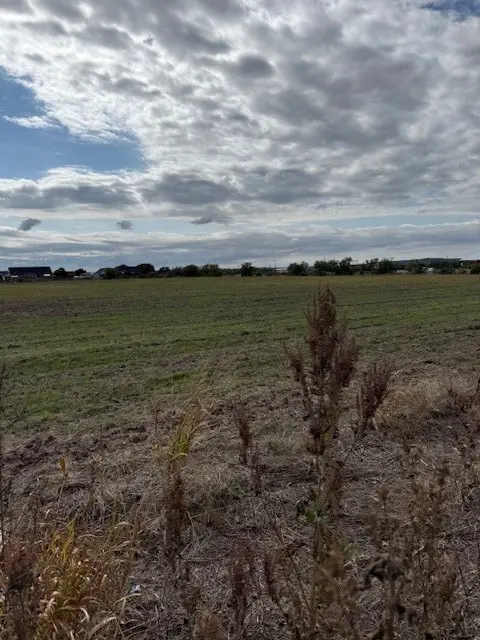 TBD Fm 1750 Road, Abilene, TX 79602 - Image #2