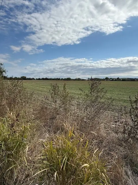 TBD Fm 1750 Road, Abilene, TX 79602 - Image #3