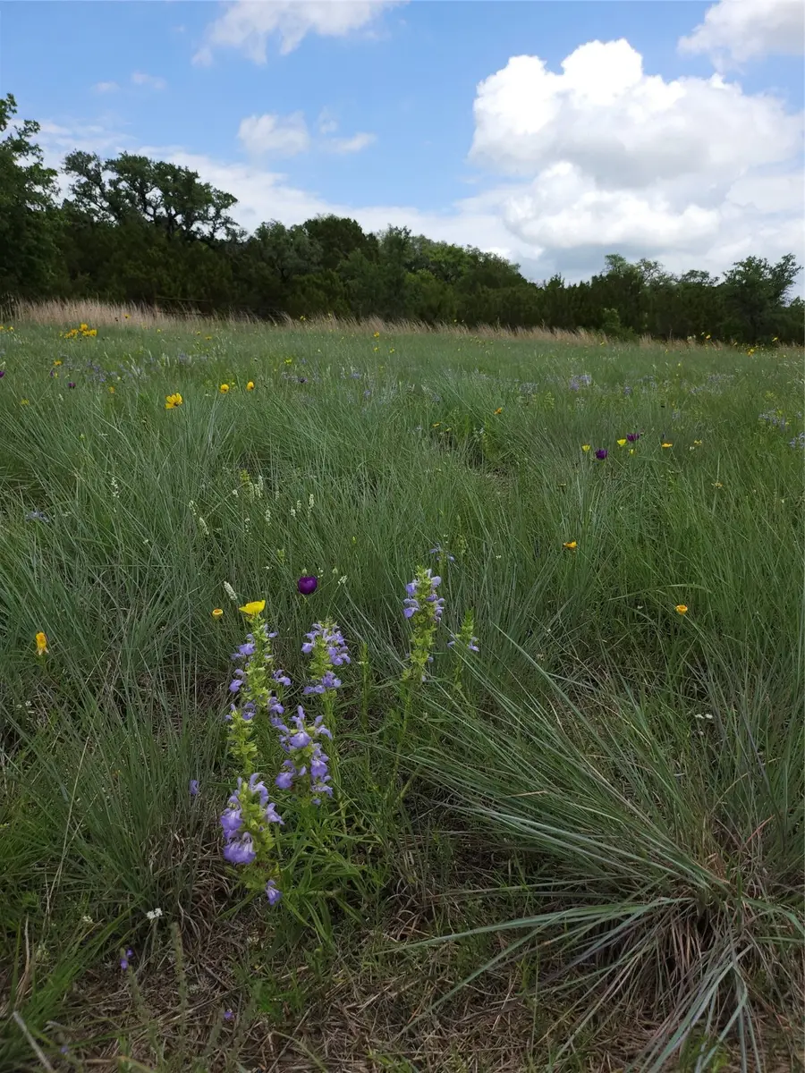 0000 County Road 1125, Morgan, TX 76671 - Image #2