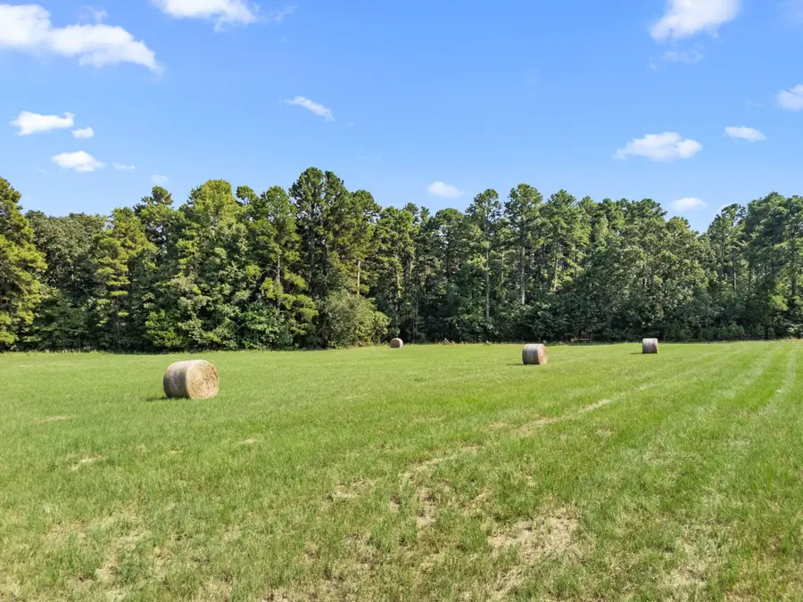 1081 County Road 3875, Mineola, TX 75773 - Image #3