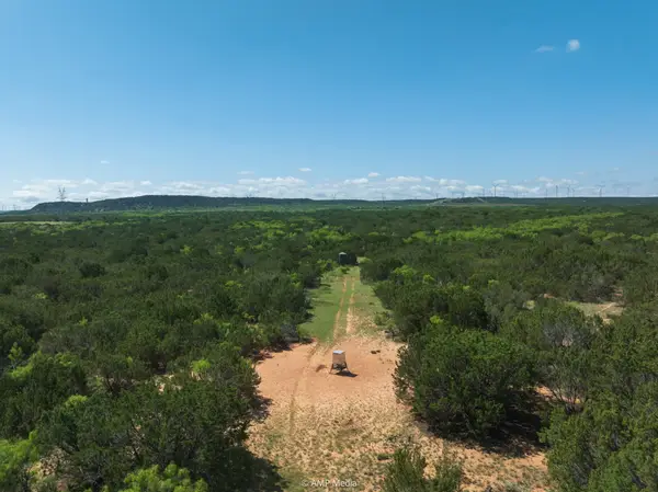 TBD Fm 2035, Sweetwater, TX 79556