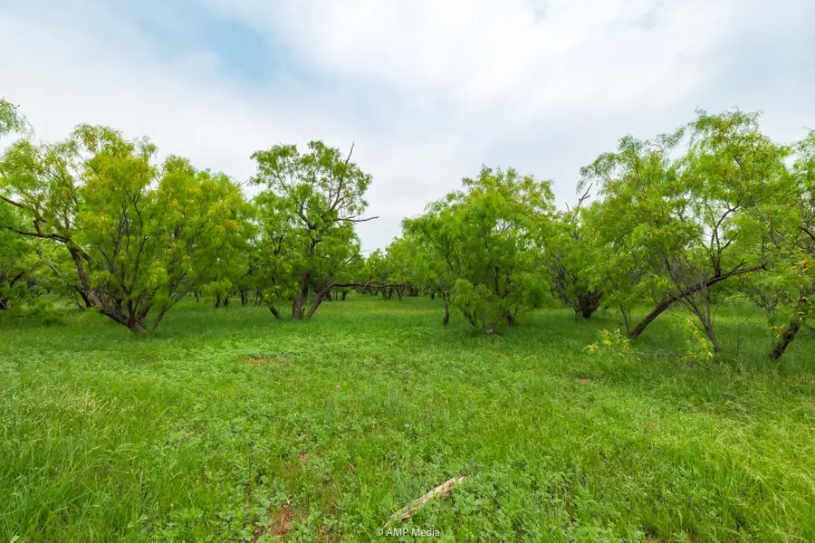 TBD Fm 3116, Anson, TX 79501 - Image #2