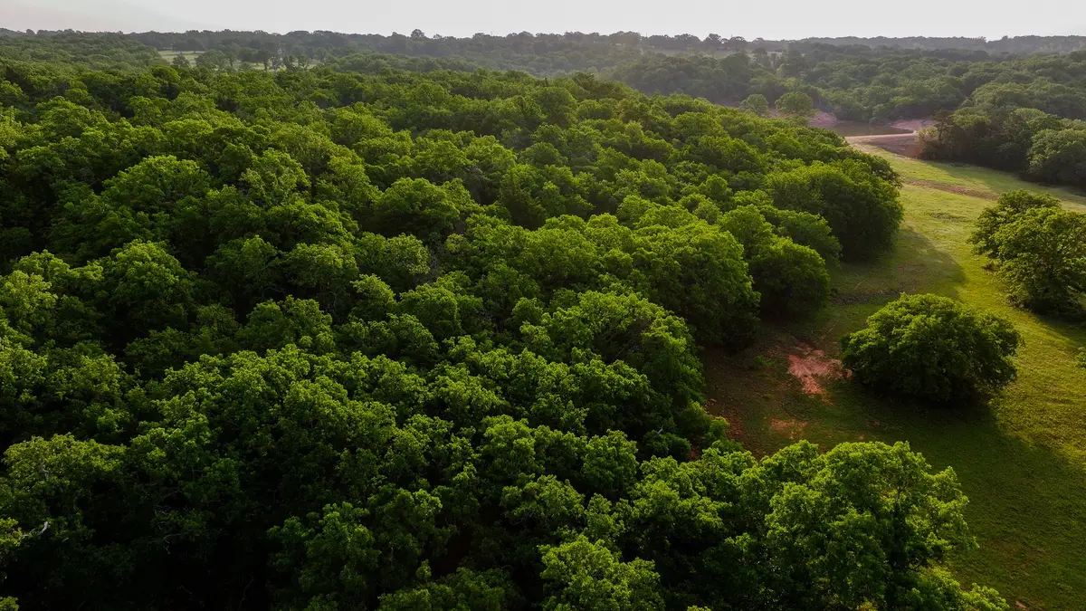 1241 Winn Road, Bowie, TX 76230 - #1