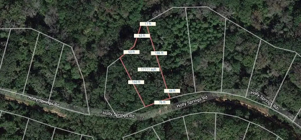 Lot 12 Holly Springs Road, Normangee, TX 77871 - Image #1