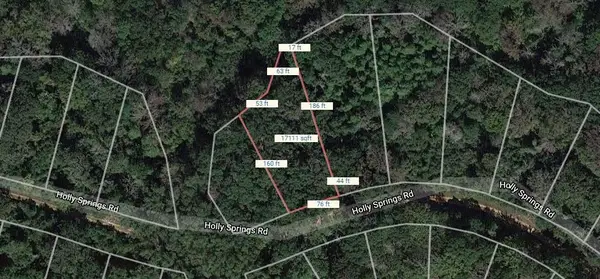 Lot 12 Holly Springs Road, Normangee, TX 77871