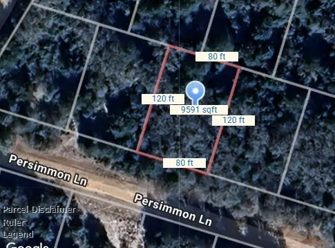 Lot 3 Persimmon Lane, Normangee, TX 77871 - Image #1