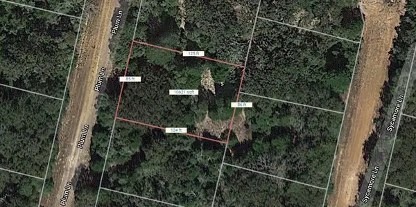 Lot 7 Plum Lane, Normangee, TX 77871
