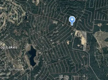 Lot 31 Youpon Lane, Normangee, TX 77871 - Image #3