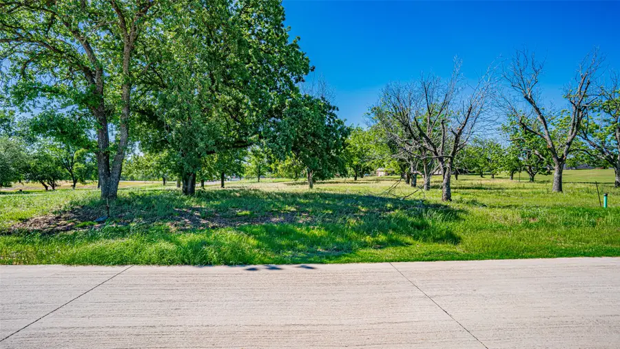 8433 W Landings Road, Granbury, TX 76049 - Image #3