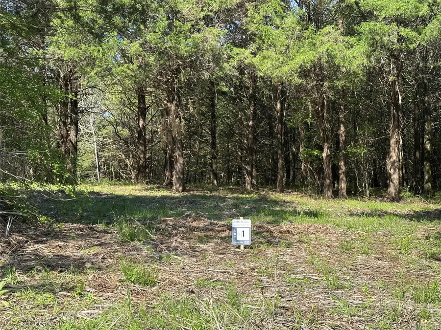 Tract 1 Farm To Market 1743, Honey Grove, TX 75446 - Image #3