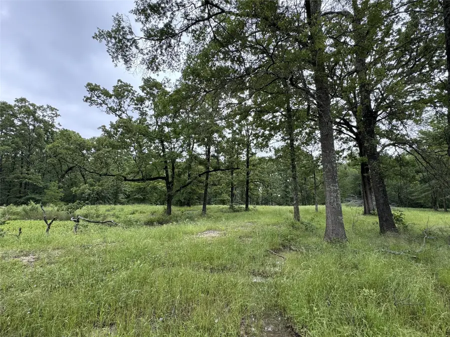 TBD Rs County Road 3360, Emory, TX 75440 - Image #3