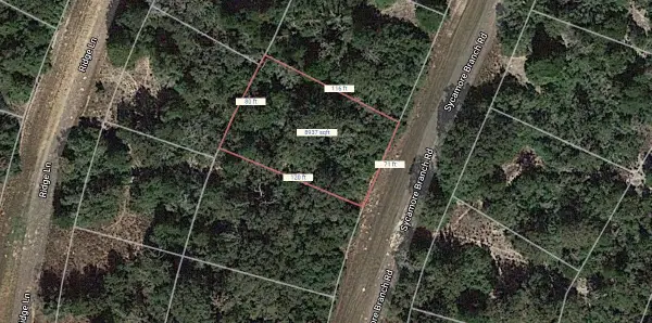 Lot 3 Sycamore Branch Road, Normangee, TX 77871