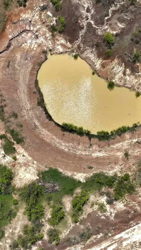 163 Campbell Lane, Jacksboro, TX 76458