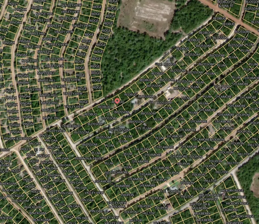 Lot 48 Redbud Lane, Normangee, TX 77871 - Image #2