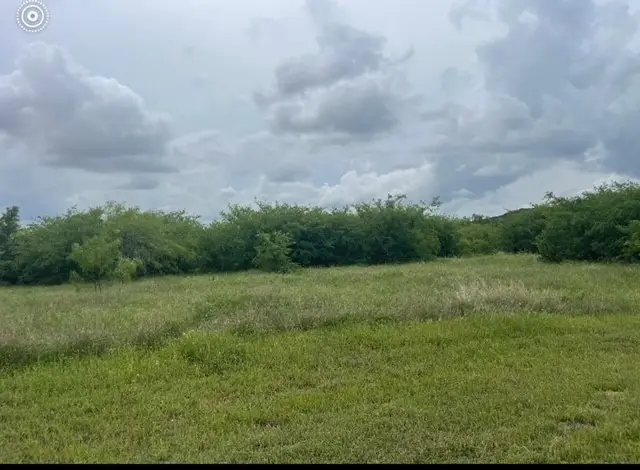 Lot 444 Indigo Bush Court, Graford, TX 76449 - Image #1