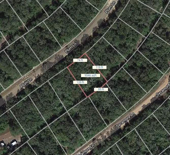 Lot 37 Plum Lane, Normangee, TX 77871 - Image #1