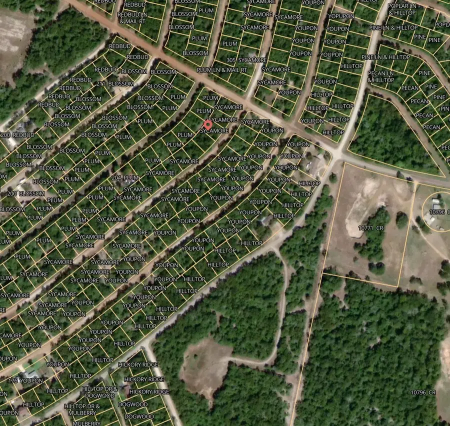 Lot 30 Sycamore Lane, Normangee, TX 77871 - Image #2