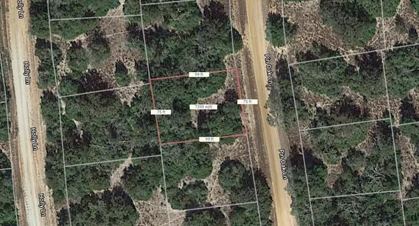 Lot 20 Pin Oak, Normangee, TX 77871