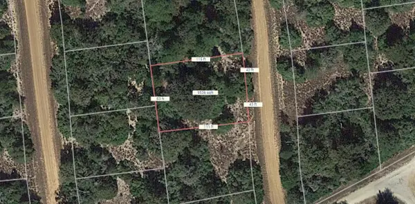 Lot 12 Maple Hill Lane, Normangee, TX 77871