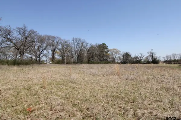 22419 County Road 2166, Troup, TX 75789