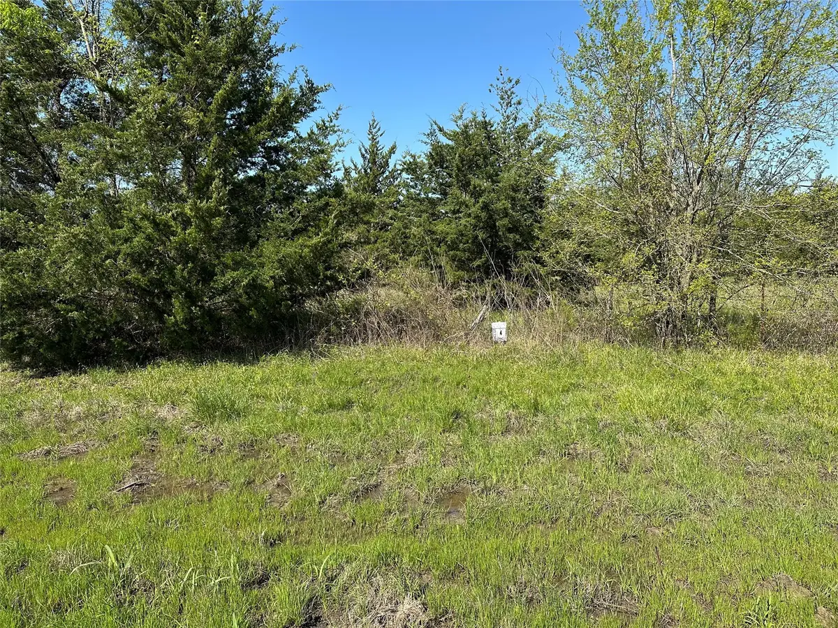 Tract 4 Farm To Market 1743, Honey Grove, TX 75446 - Image #1