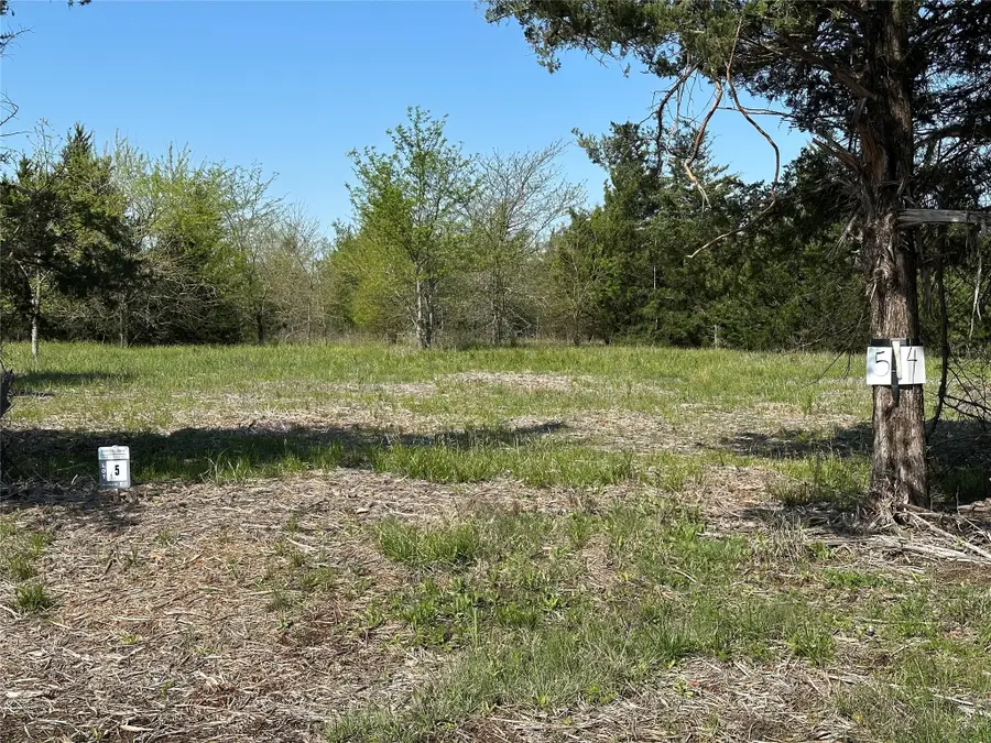 Tract 5 Farm To Market 1743, Honey Grove, TX 75446 - Image #3