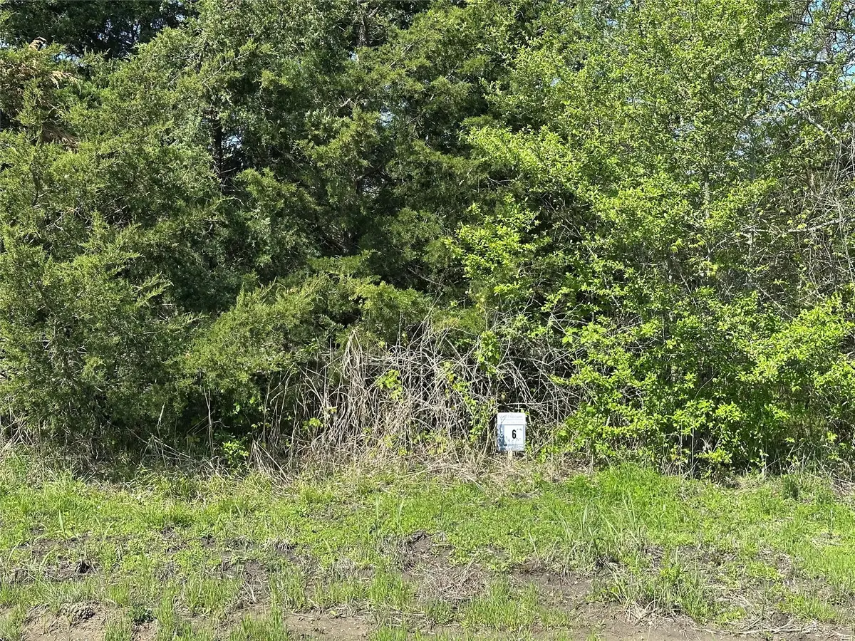 Tract 6 Farm To Market 1743, Honey Grove, TX 75446 - Image #1