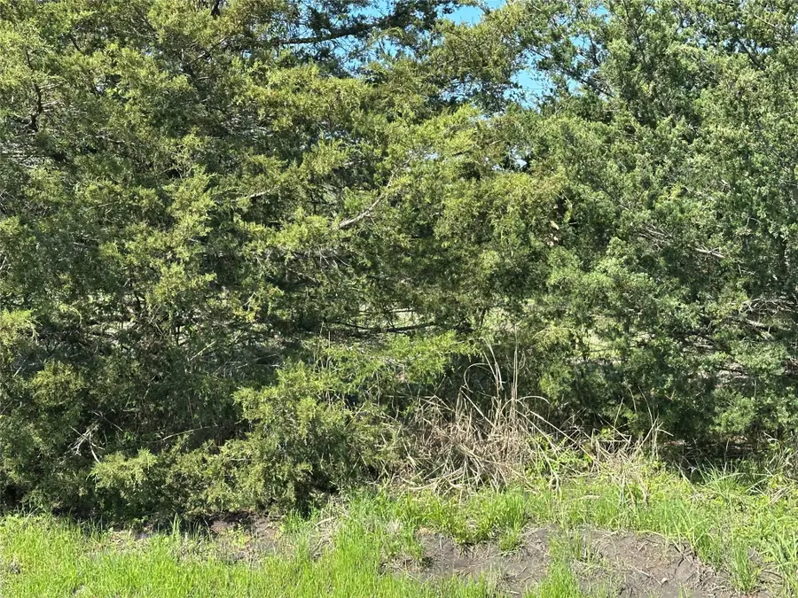 Tract 6 Farm To Market 1743, Honey Grove, TX 75446 - Image #2