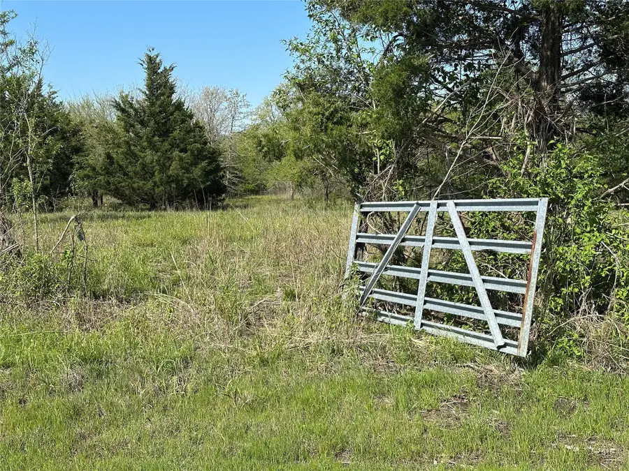 Tract 6 Farm To Market 1743, Honey Grove, TX 75446 - Image #3