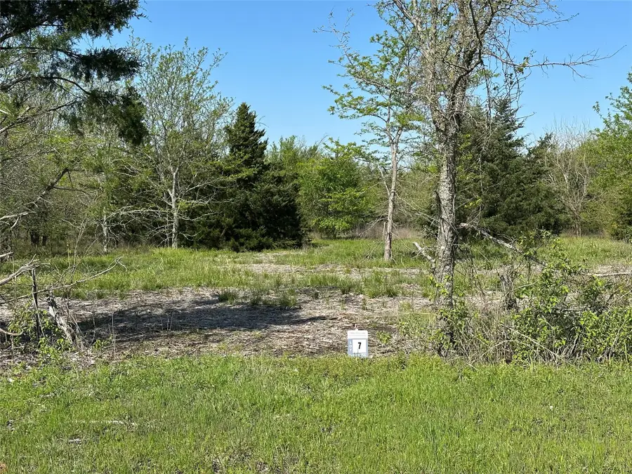 Tract 7 Farm To Market 1743, Honey Grove, TX 75446 - Image #2