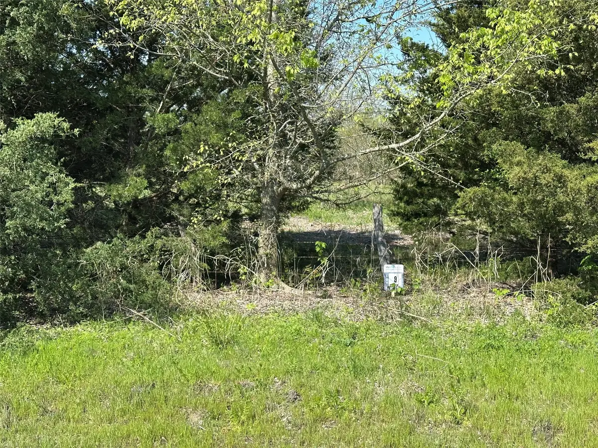 Tract 8 Farm To Market 1743, Honey Grove, TX 75446 - Image #1