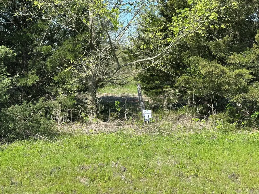 Tract 8 Farm To Market 1743, Honey Grove, TX 75446 - Image #2