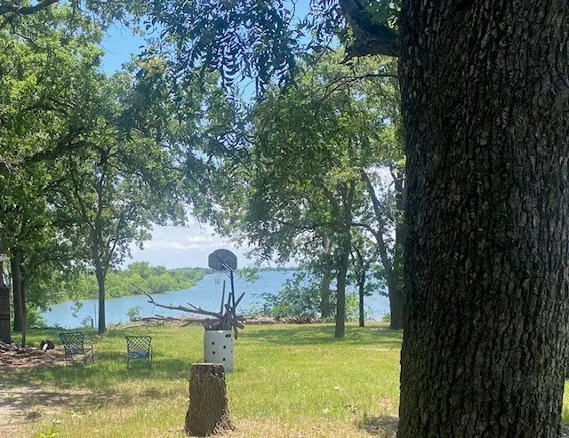 421 Shady Lane, Little Elm, TX 75068 - Image #3