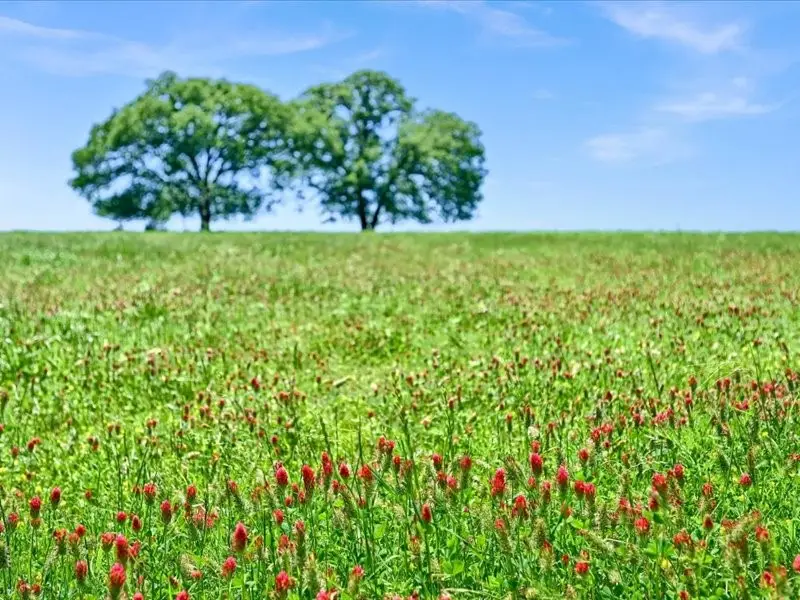 1747 Desvoignes Road, Denison, TX 75021 - Image #2