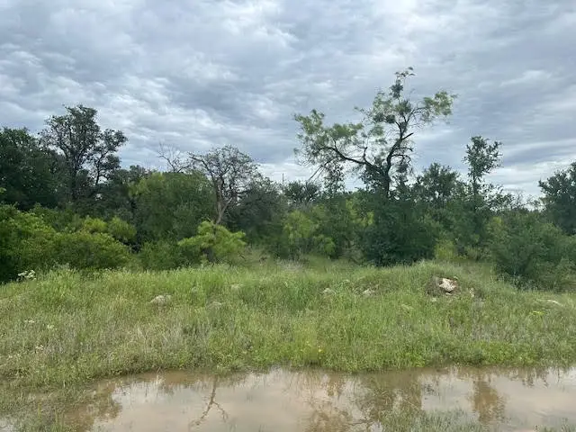 101 Bald Eagle Court, Graford, TX 76449 - Image #2