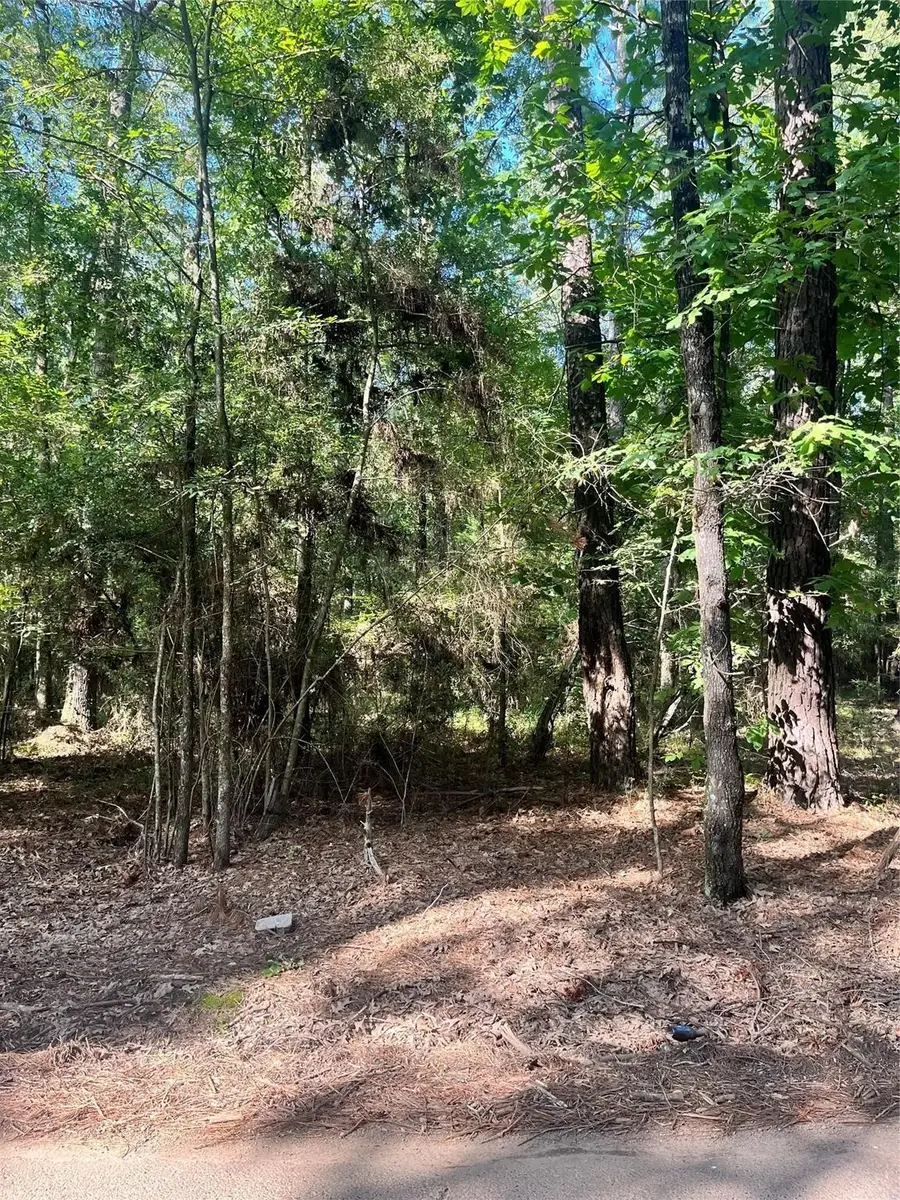 0 Friendship, Frierson, LA 71027 - Image #2