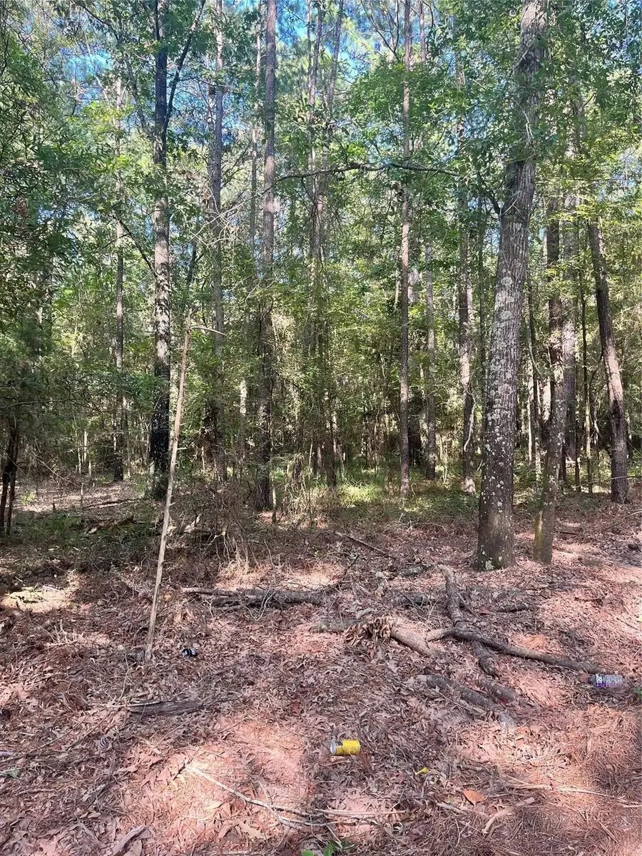 0 Friendship, Frierson, LA 71027 - Image #3