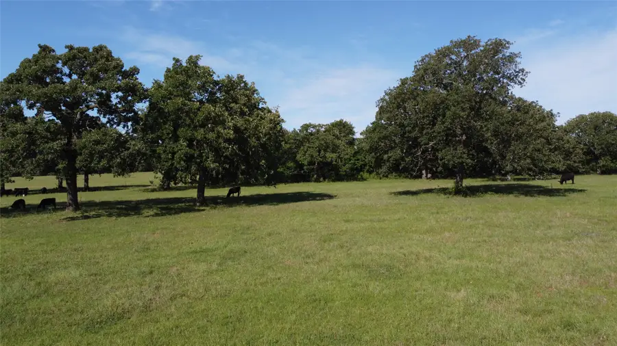 Tbd Fm 309, Hillsboro, TX 76645 - Image #2