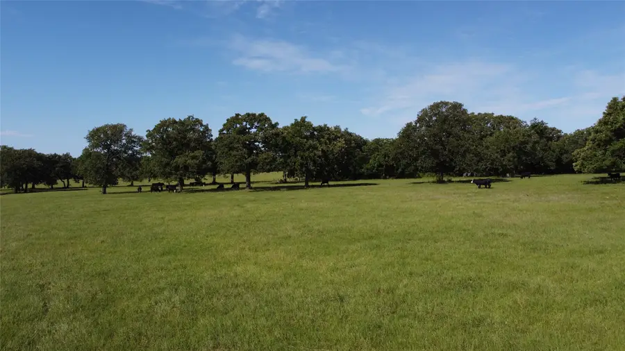 Tbd Fm 309, Hillsboro, TX 76645 - Image #3