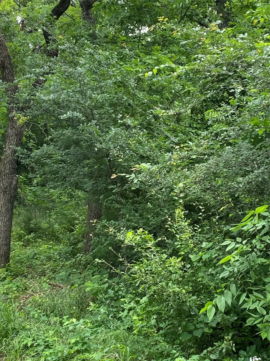 TBD NW County Road 3323, Frost, TX 76641 - Image #3