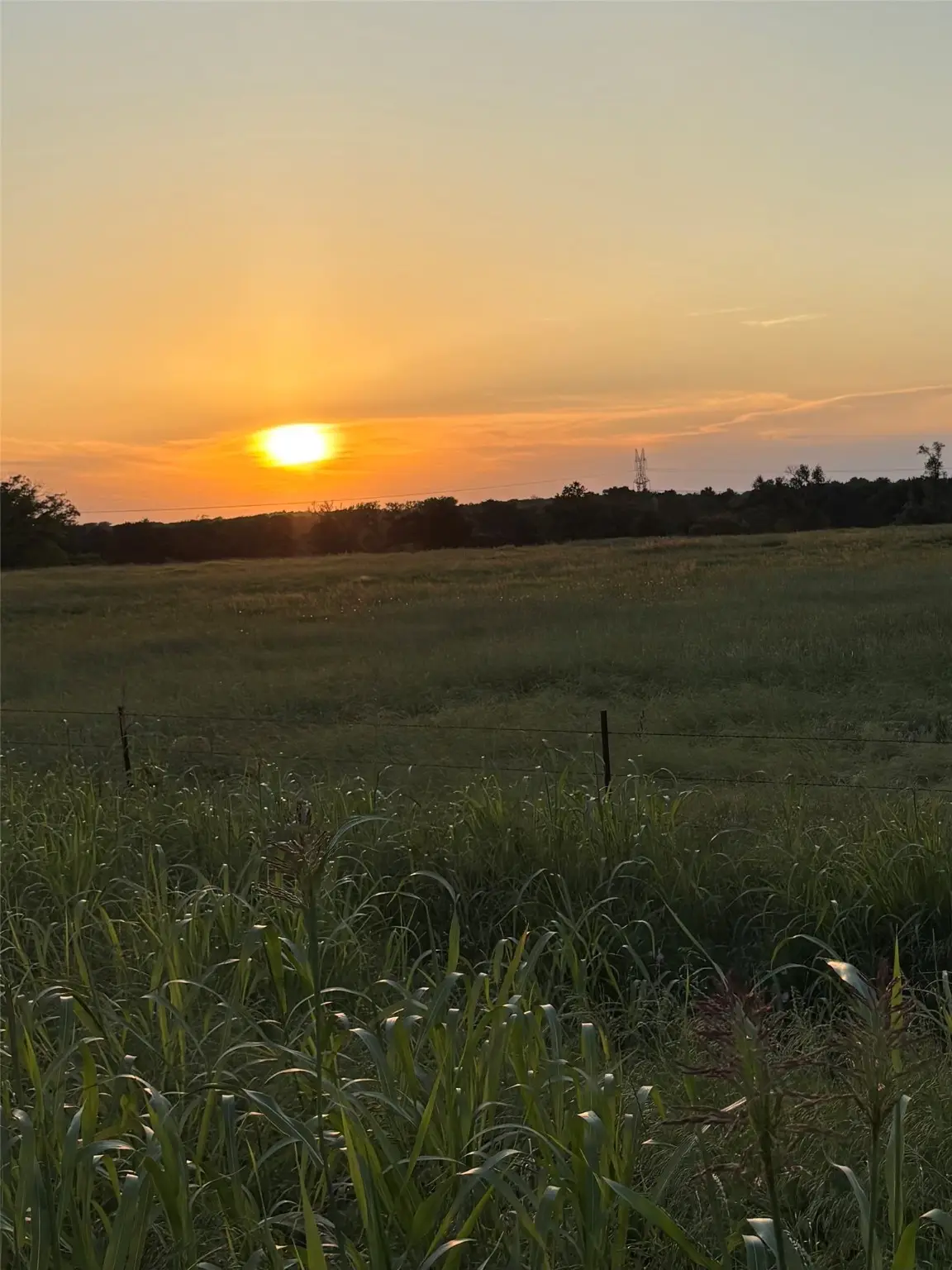 0000 Fm 2293, Bremond, TX 76629 - #1