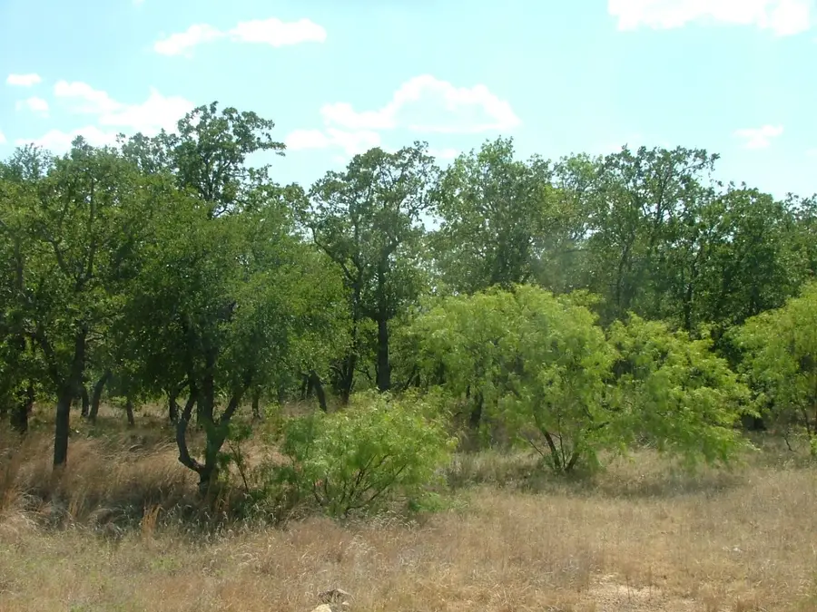 Lot 263 Ridgeline Drive, Chico, TX 76431 - Image #2